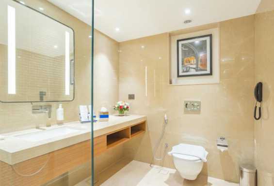Hoteli indija Condor Travel