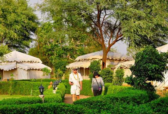 Glamping camp Abhaneri