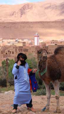 Berber s kamelo v Tingir v Maroku
