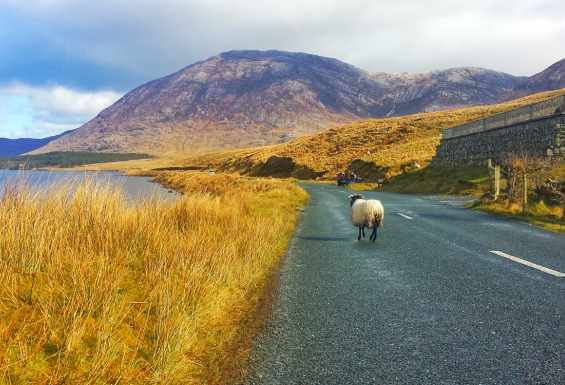 Connermara-Potovanje-po-Irski-in-Škotski-Keltska-Avantura