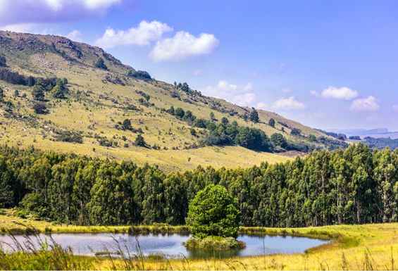 Dullstroom Juzna Afrika