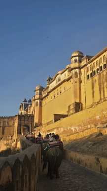 trdnjava amber Jaipur