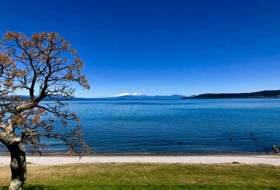 Jezero Taupo 