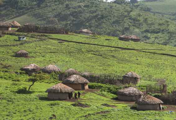 Masajska vasica v Tanzaniji