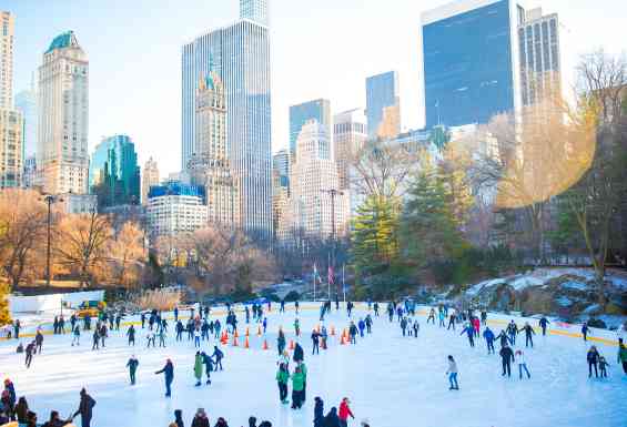 New York drsalisce Central park