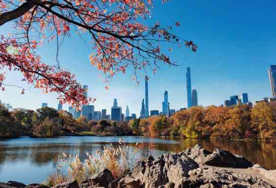 Central park New York