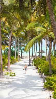 Paje plaza na Zanzibarju