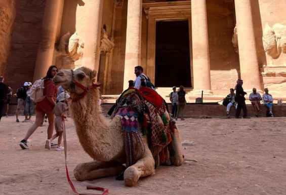 Petra-kamela-potovanje