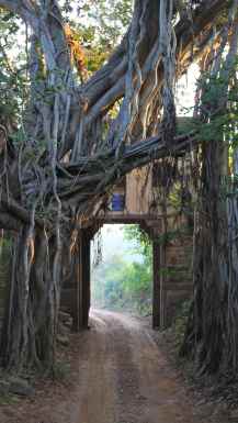 Ranthambore vrata v narodni park
