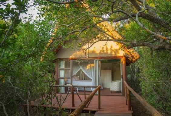 Safari kamp Kruger lodge