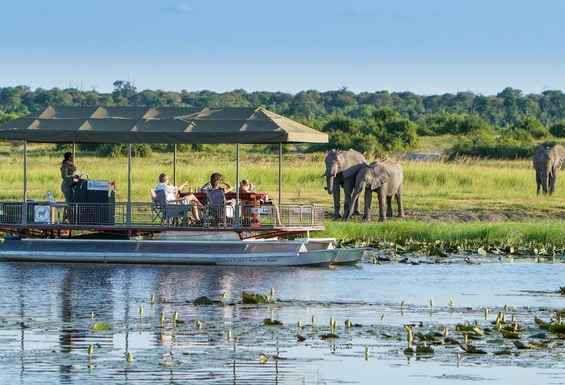Chobe Bocvana Safari potovanje Condor Travel