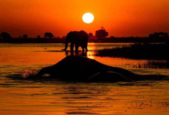 Chobe Bocvana Soncni Zahod Safari potovanje