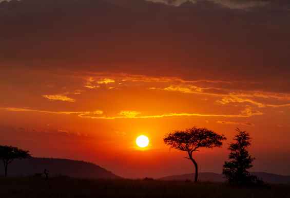 Soncni zahod na safariju v Tanzaniji