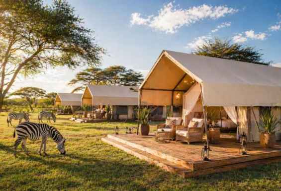 Tanzanija safari kamp Condor Travel