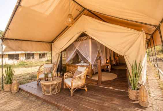 Tanzanija safari kamp Condor Travel