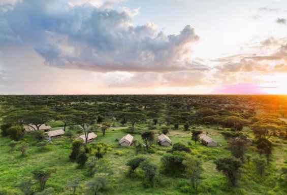 Tanzanija safari kamp Condor Travel