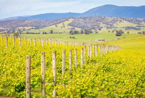Yarra Valley